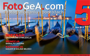 Fotogea maj