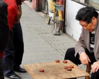 Mini Traper - Chengdu