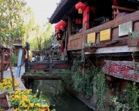 Mini Traper - Lijiang