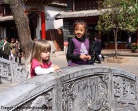 Mini Traper - Lijiang