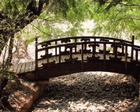 Mini Traper - Lijiang, Black Dragon Pool