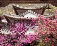 Mini Traper - Lijiang, Black Dragon Pool