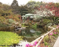 Mini Traper - Chengdu, Baihuatan Park