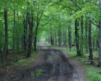 Beskid Mały © W podróży przez życie