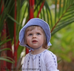 Mini Traper