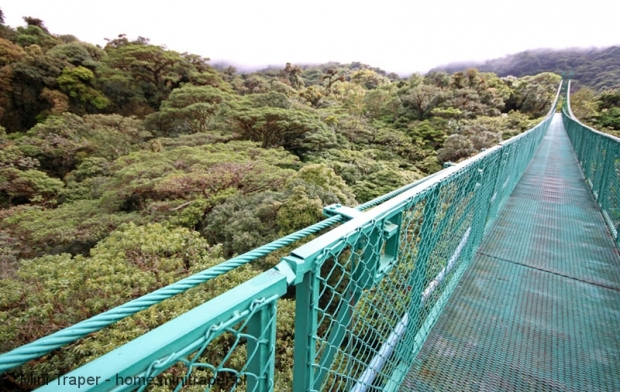 Mini Traper - Selvatura Park