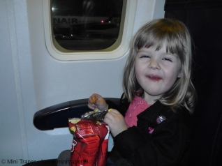 Mini Traper - Boeing 737-800
