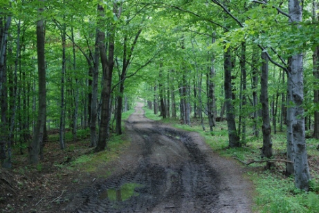 Beskid Mały © W podróży przez życie