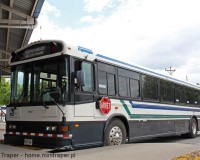 Mini Traper - Dworzec autobusowy w Cañas