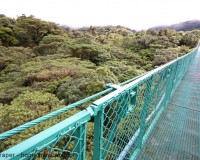 Mini Traper - Selvatura Park