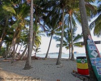 Mini Traper - Playa Samara