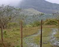 Mini Traper - Wulkan Arenal