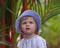 Mini Traper