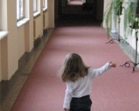 Mini Traper - Stary Dom Zdrojowy