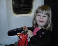 Mini Traper - Boeing 737-800