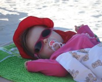 Mini Traper