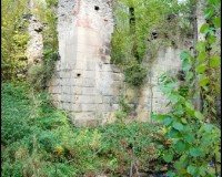 Rezerwat Nad Tanwią © W podróży przez życie